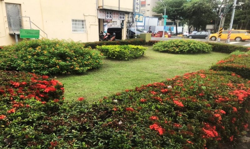 45處城市空間煥新 綠意重塑都市活力 45處城市空間煥新 綠意重塑都市活力