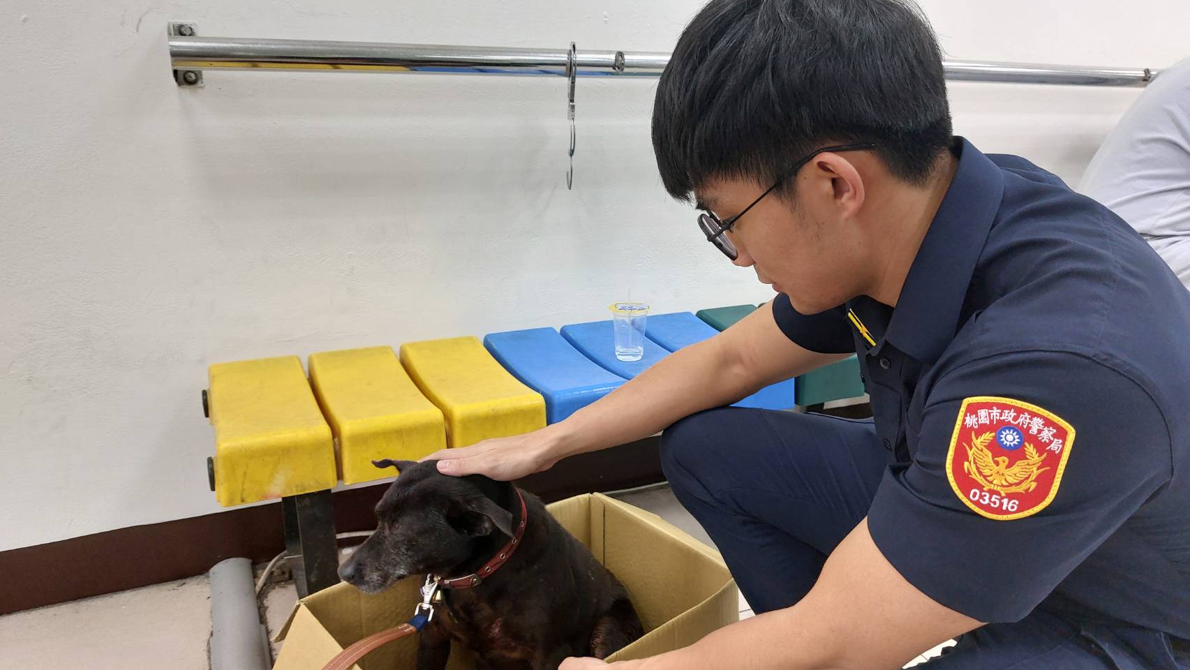 狗狗聽聞雷聲驚逃誤闖診所 桃警暖心安撫助尋回飼主 狗狗聽聞雷聲驚逃誤闖診所 桃警暖心安撫助尋回飼主