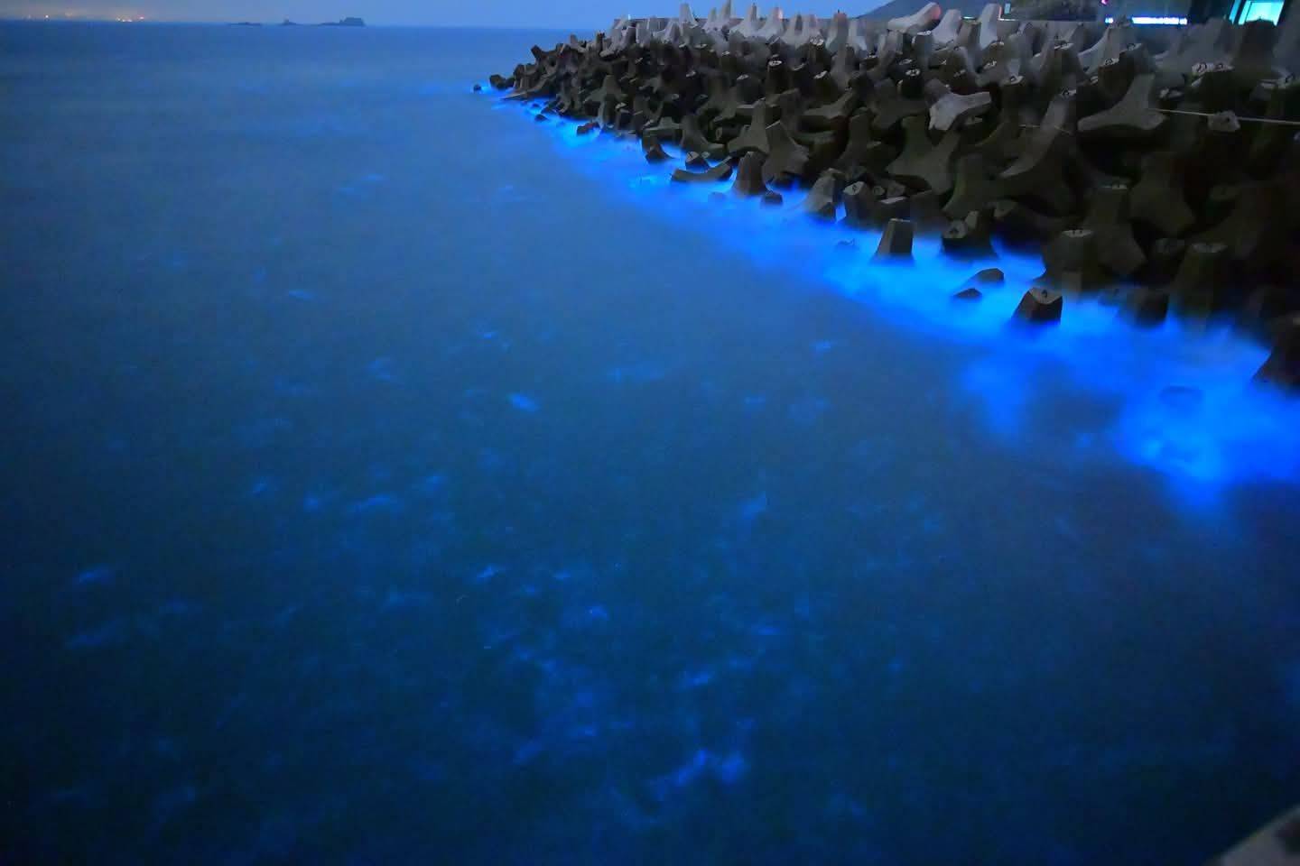 高馬航線6月6日啟航 高雄市政府支持南北直航共創觀光與人流雙贏