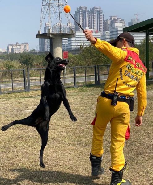 竹市消防局慶祝國際搜救犬日 邱臣遠代理市長:感謝搜救犬辛勤付出 竹市消防局慶祝國際搜救犬日 邱臣遠代理市長:感謝搜救犬辛勤付出