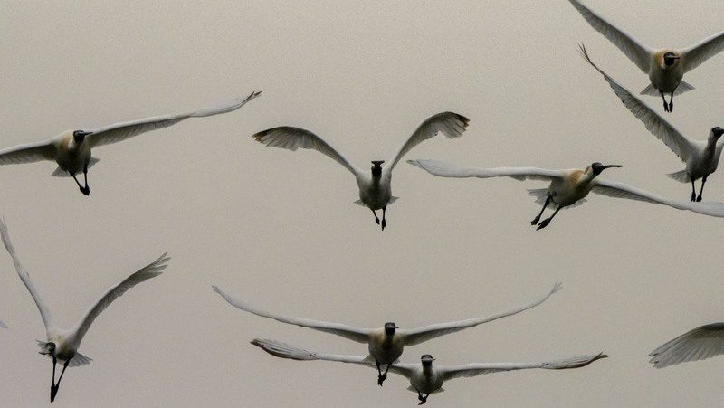 【陳宜民觀點 】    期待新的模式：關於永續，我們可以做些什麼？