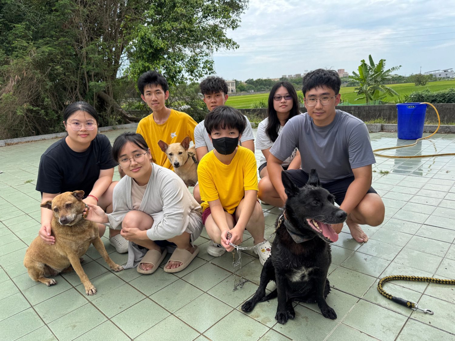 高雄大學寵研社辦浪犬清潔活動  展現校園生命教育