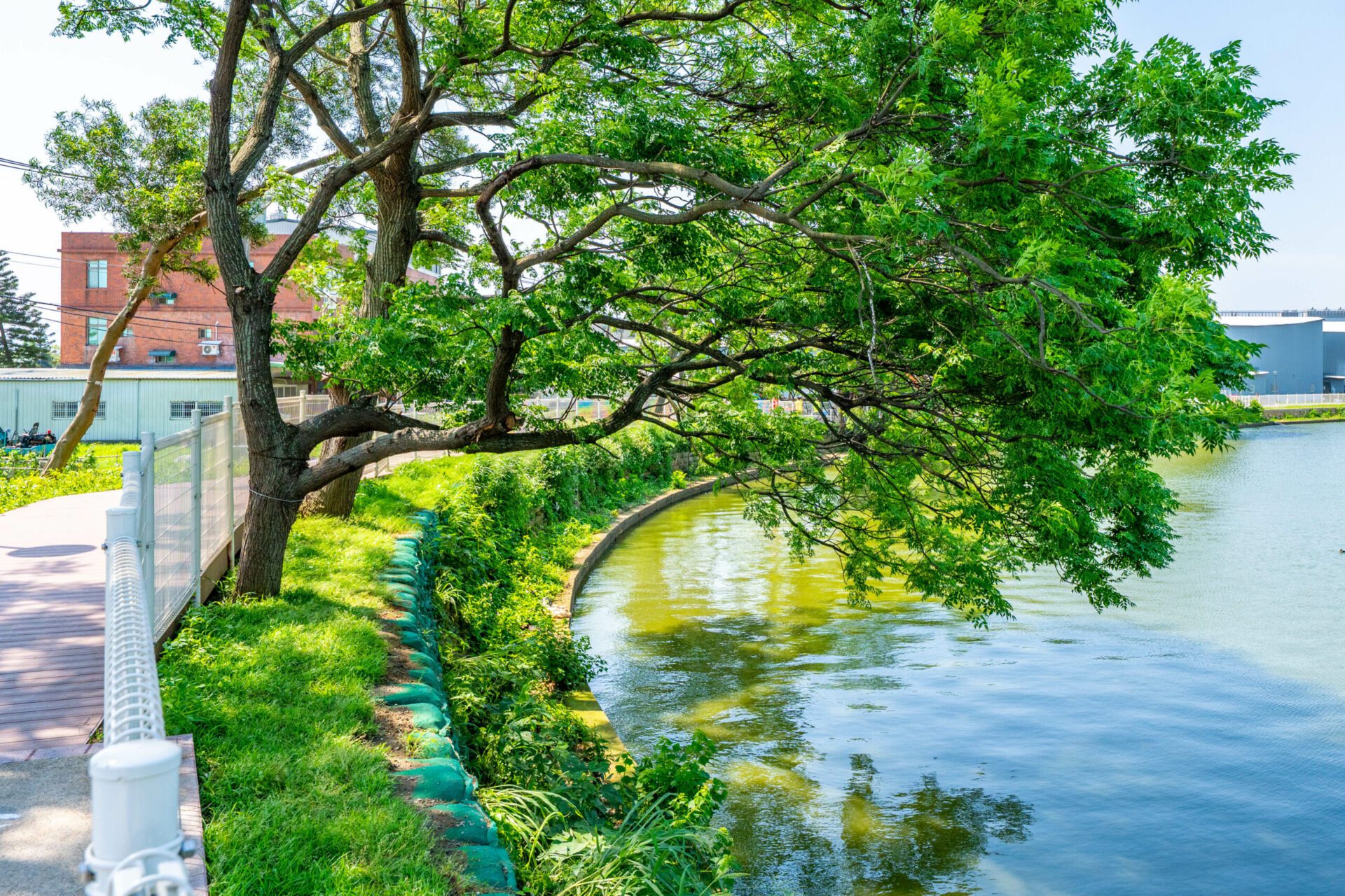 休閒好去處再+1 中壢這處埤塘變身綠地新景點