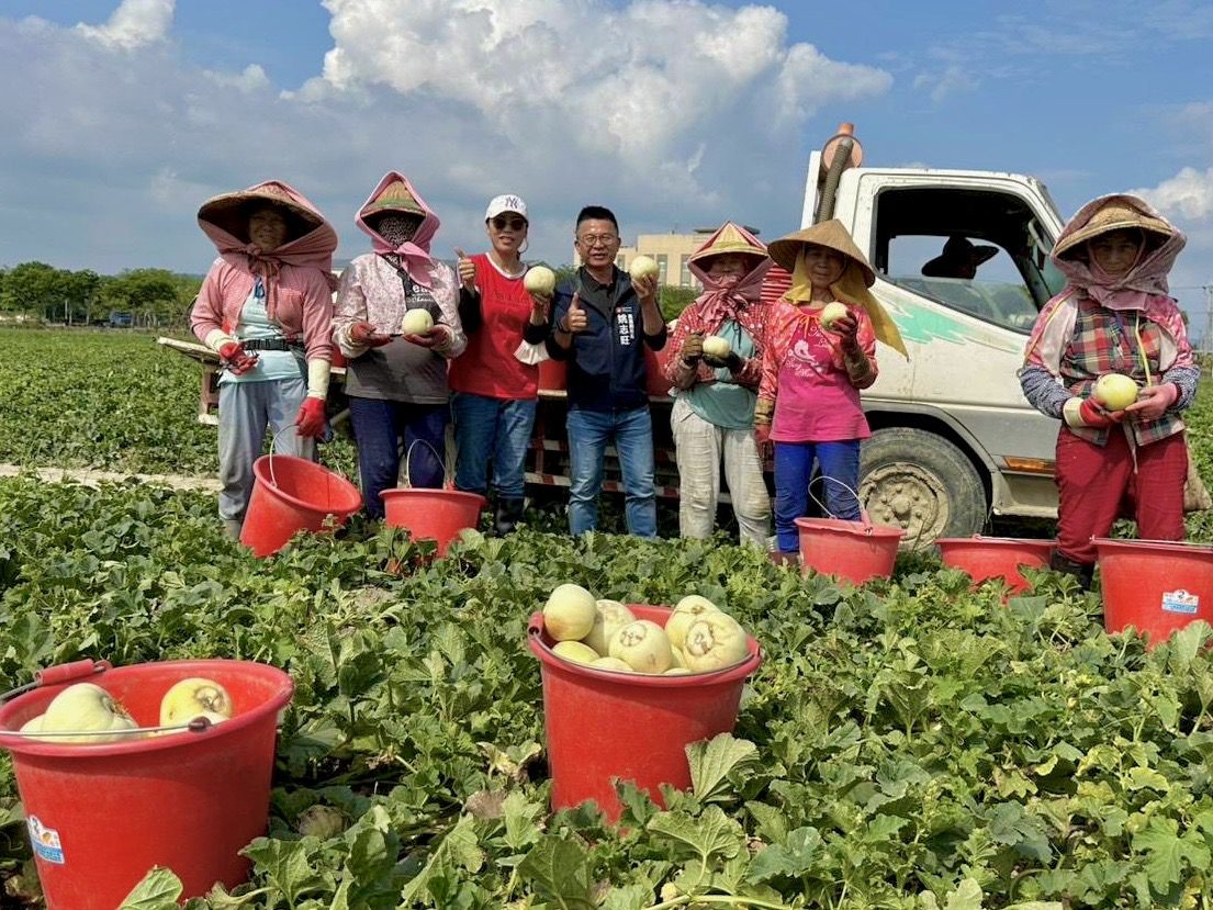 高雄瓜果年產1200公頃 農業局局長姚志旺親自到場關心採收情形 高雄瓜果年產1200公頃 農業局局長姚志旺親自到場關心採收情形