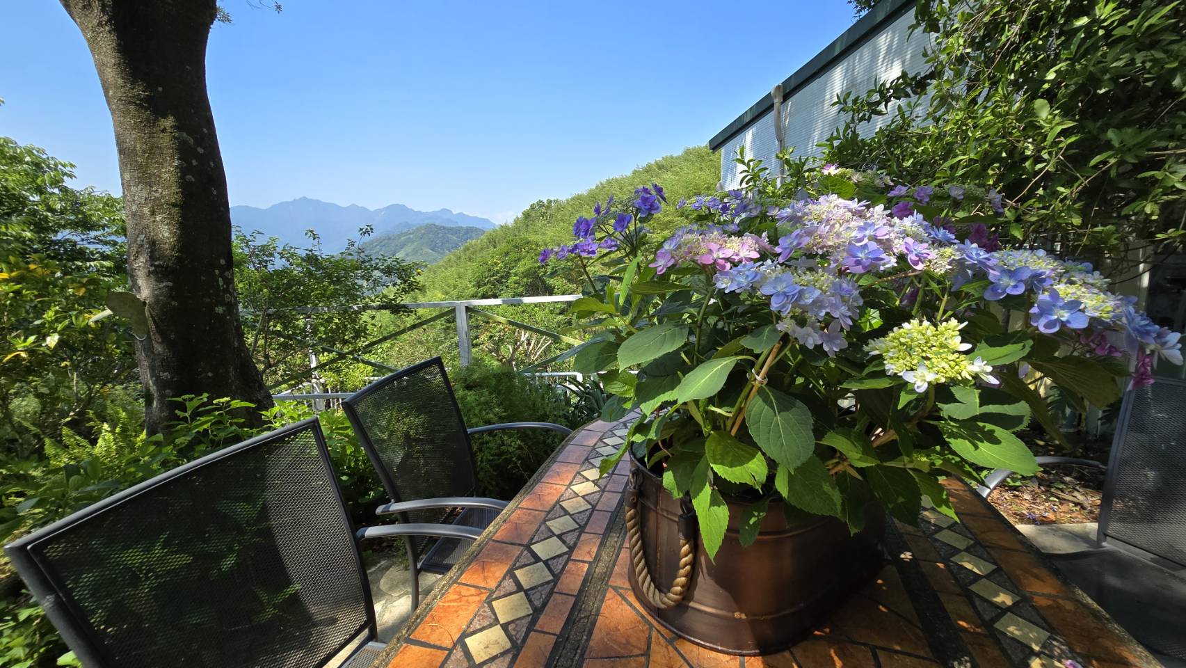 「2025花現台七-繡球金針農遊趣」推18條輕旅行 一覽山城花季之美