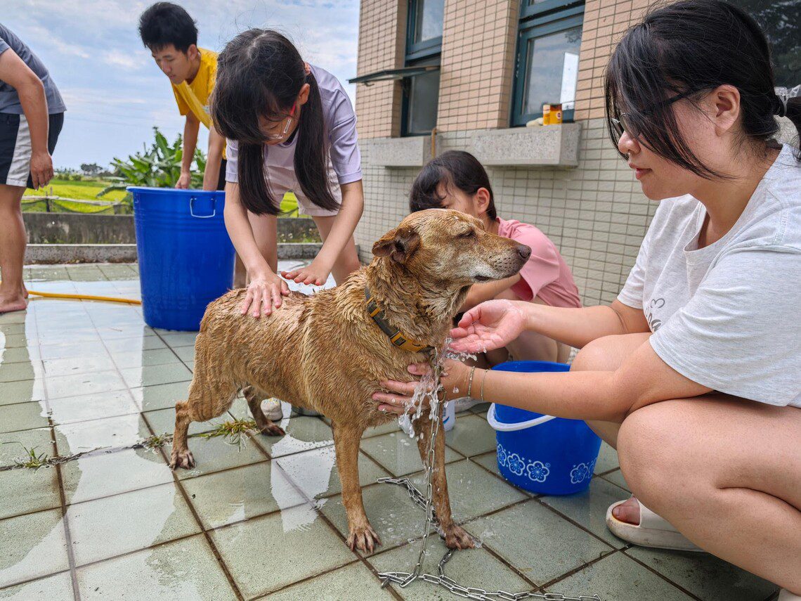 漾新聞｜高大寵研社洗狗大會開洗！讓浪浪迎夏天、傳遞尊重生命的溫暖力量