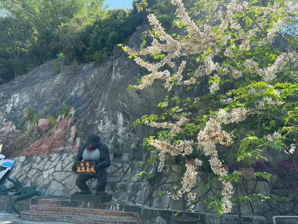台灣白河萬里長城免費體驗古裝 春日寫真花旗木盛開 台灣白河萬里長城免費體驗古裝 春日寫真花旗木盛開