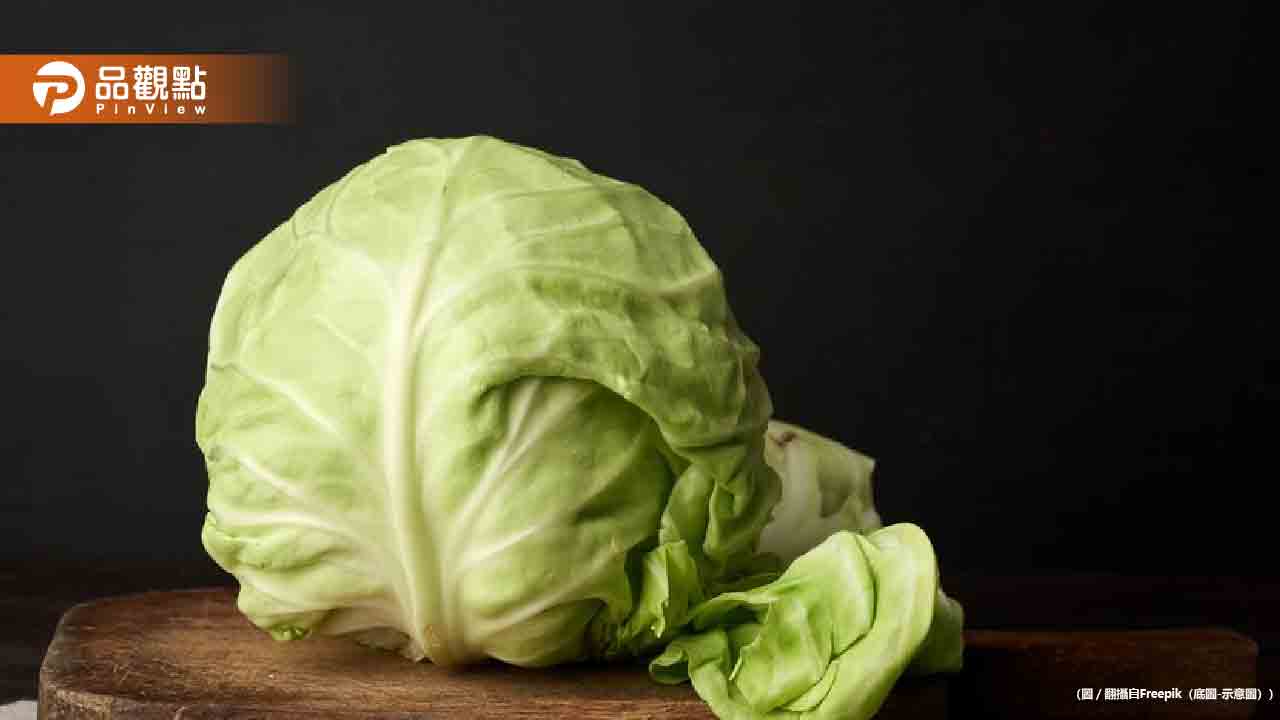 日農夫說高麗菜不用一片一片洗?專家搖頭:台灣人不要學 日農夫說高麗菜不用一片一片洗?專家搖頭:台灣人不要學