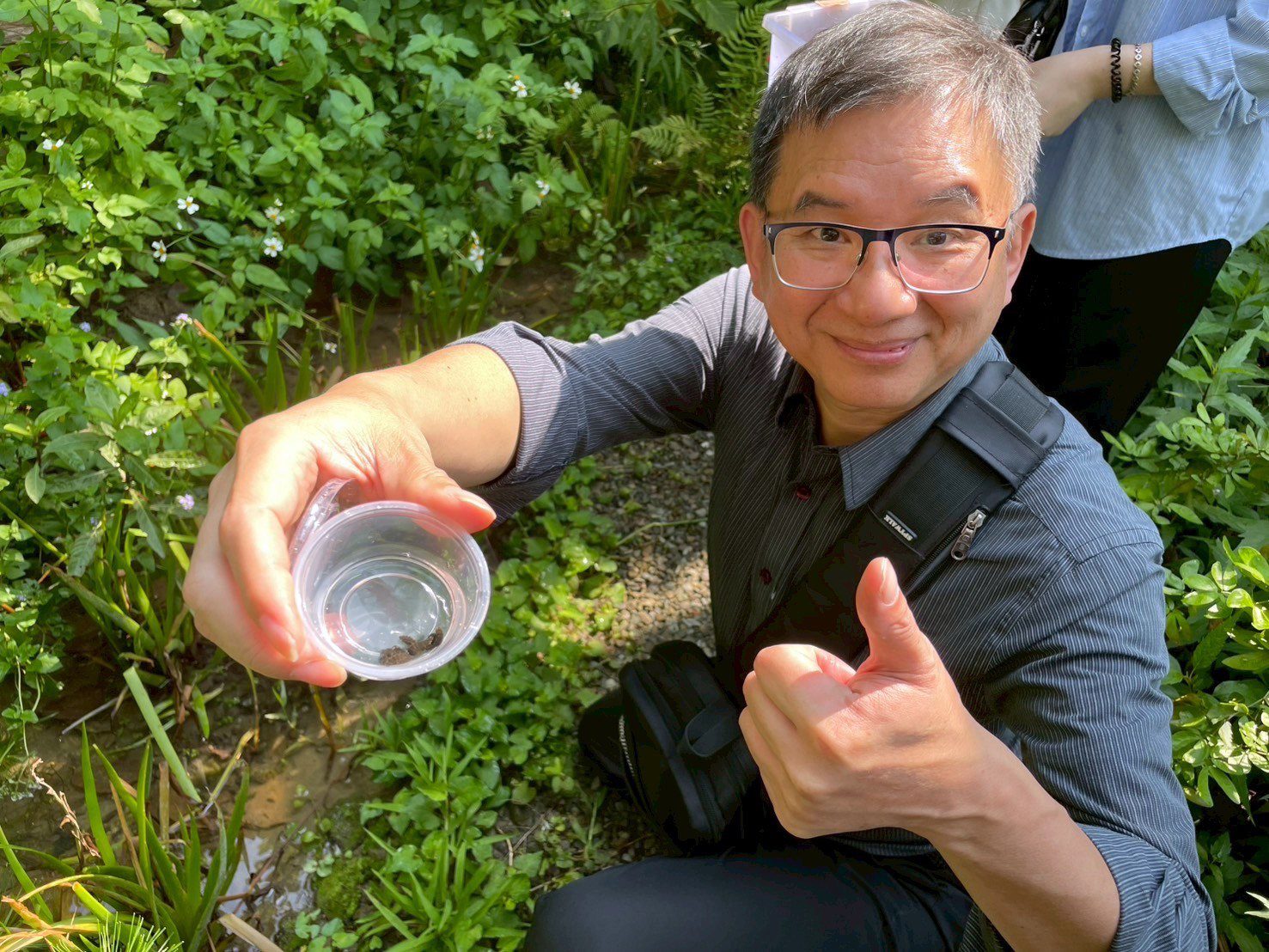 龍華科大攜手龜山社區 陪學童野放螢火蟲體驗生命奧秘 龍華科大攜手龜山社區 陪學童野放螢火蟲體驗生命奧秘