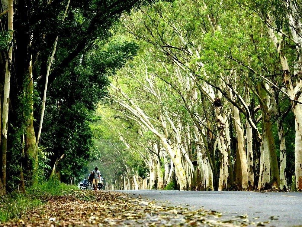 屏東3D旅遊嘉年華開賣就秒殺！ 輕航機與首發團遊程一日完售