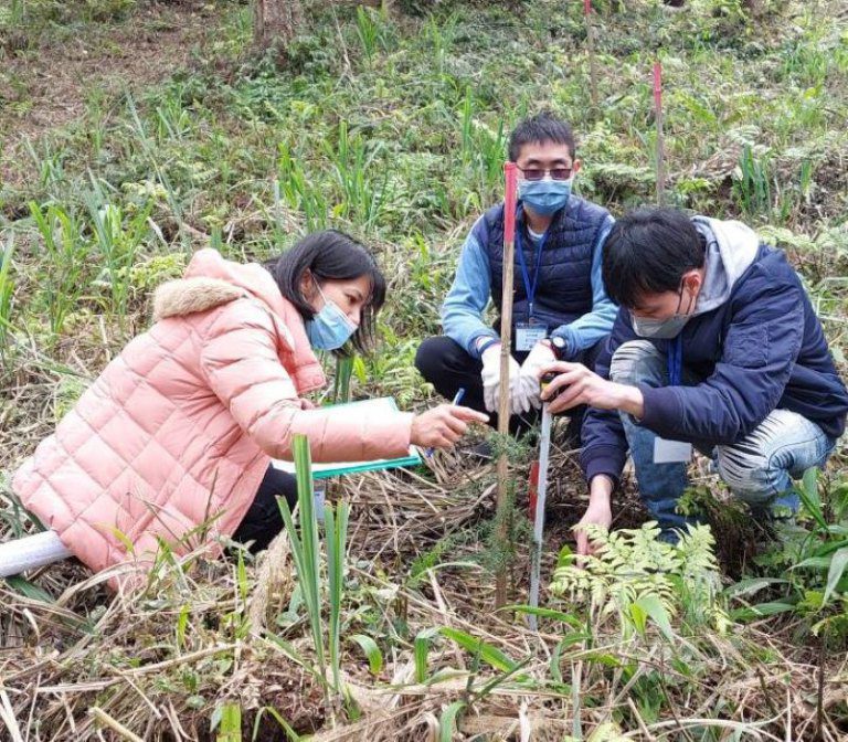山林需要你！　林業保育署新竹分署114年森林護管員甄試報名倒數中