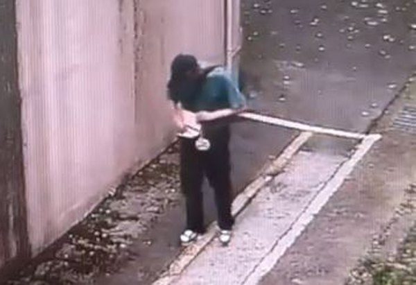 中壢近日連傳兩起砸車偷財物　警方調閱邊監視器已掌握對象