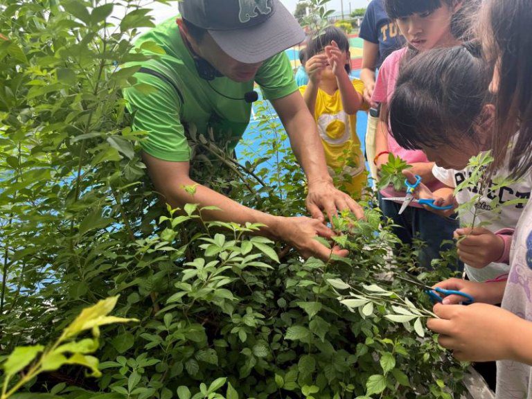 受脅植物保育再推進 在地行動再升級!新竹分署推動「小小綠手指2.0」 培力在地扎根校園 受脅植物保育再推進 在地行動再升級!新竹分署推動「小小綠手指2.0」 培力在地扎根校園