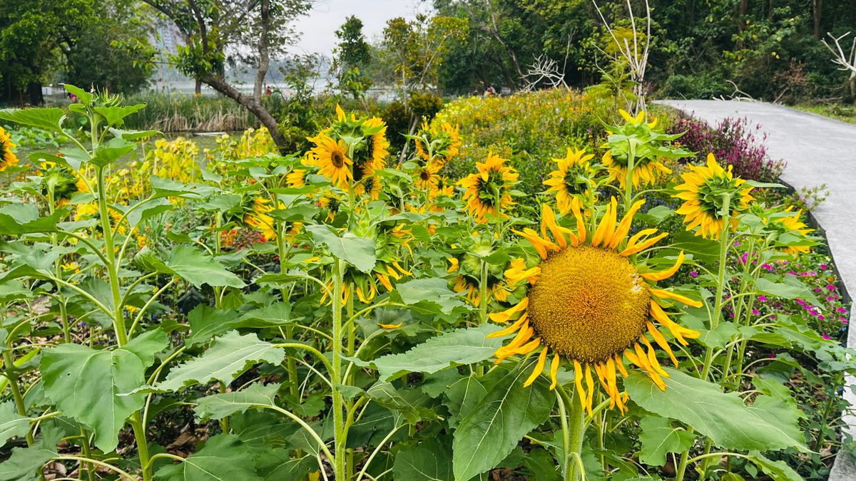 高雄祕境探訪:澄清湖的綠色奇蹟 走進花與蝶的生態池樂園 高雄祕境探訪:澄清湖的綠色奇蹟 走進花與蝶的生態池樂園