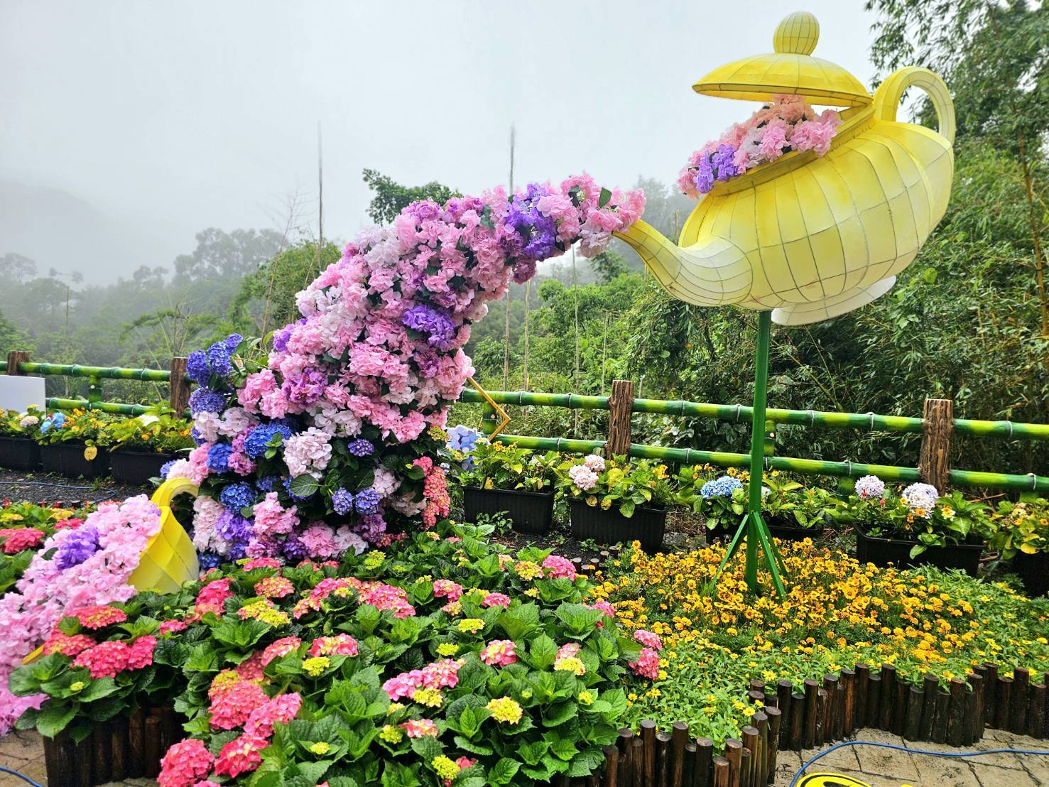 繡球花妝點台七線 枕頭山花景夢幻登場迎接賞花潮 繡球花妝點台七線 枕頭山花景夢幻登場迎接賞花潮