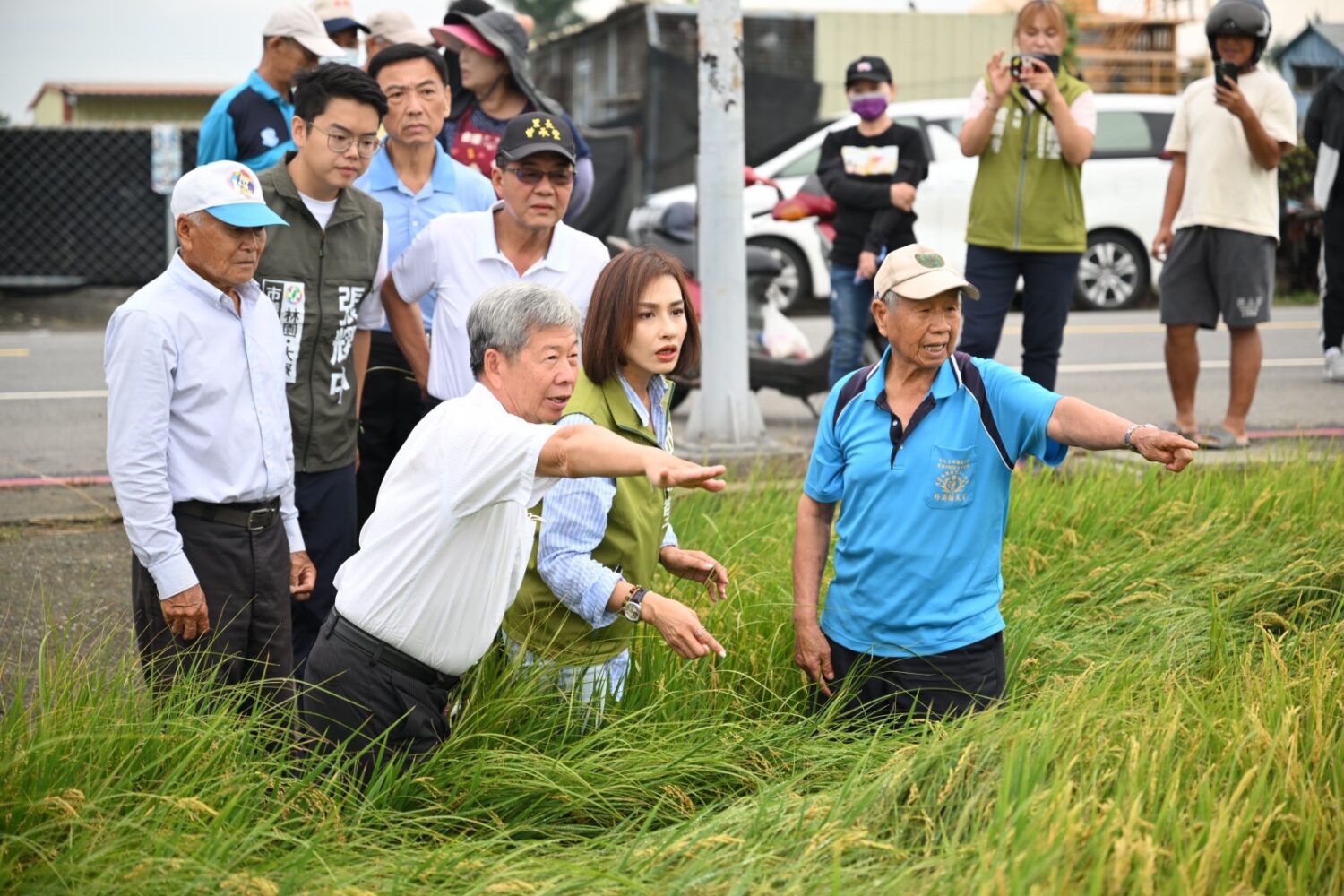 氣候異常致高雄稻米「空包」 邱議瑩邀部會勘災解決農民損失 氣候異常致高雄稻米「空包」 邱議瑩邀部會勘災解決農民損失