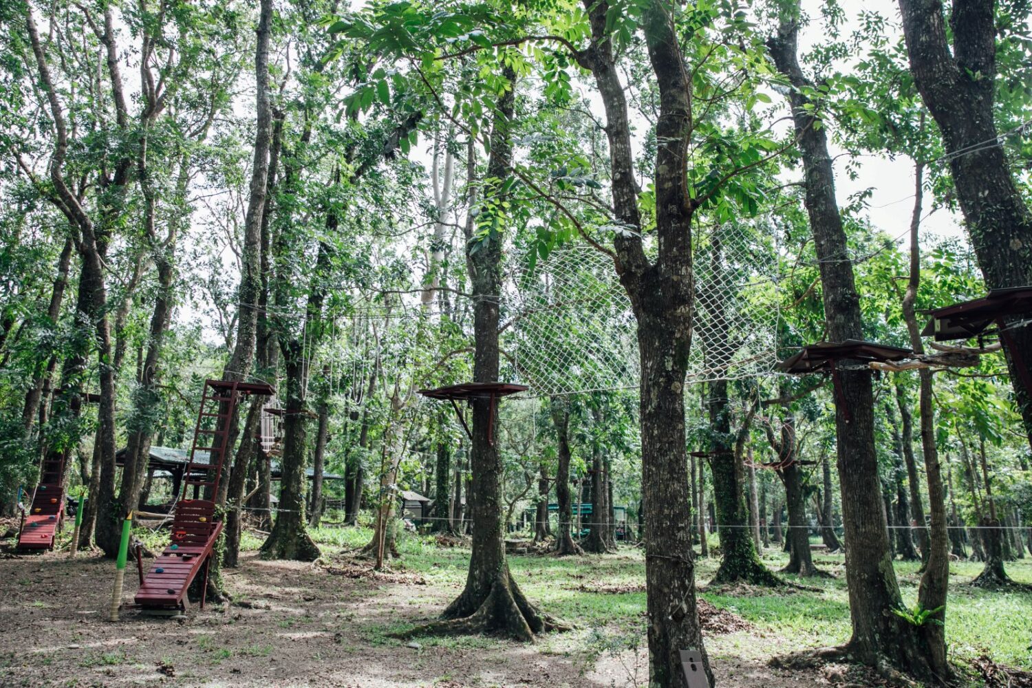 屏東精選多元路線打造沉浸式假期體驗 2025端午連假旅遊首選 屏東精選多元路線打造沉浸式假期體驗 2025端午連假旅遊首選