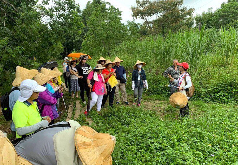 高原有「艾」桃竹苗分署邀您親子同遊 共度端午佳節 高原有「艾」桃竹苗分署邀您親子同遊 共度端午佳節