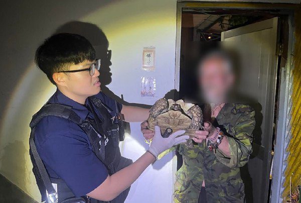 平鎮黃姓心愛象龜被偷 警方遍尋監視器找到了 平鎮黃姓心愛象龜被偷 警方遍尋監視器找到了