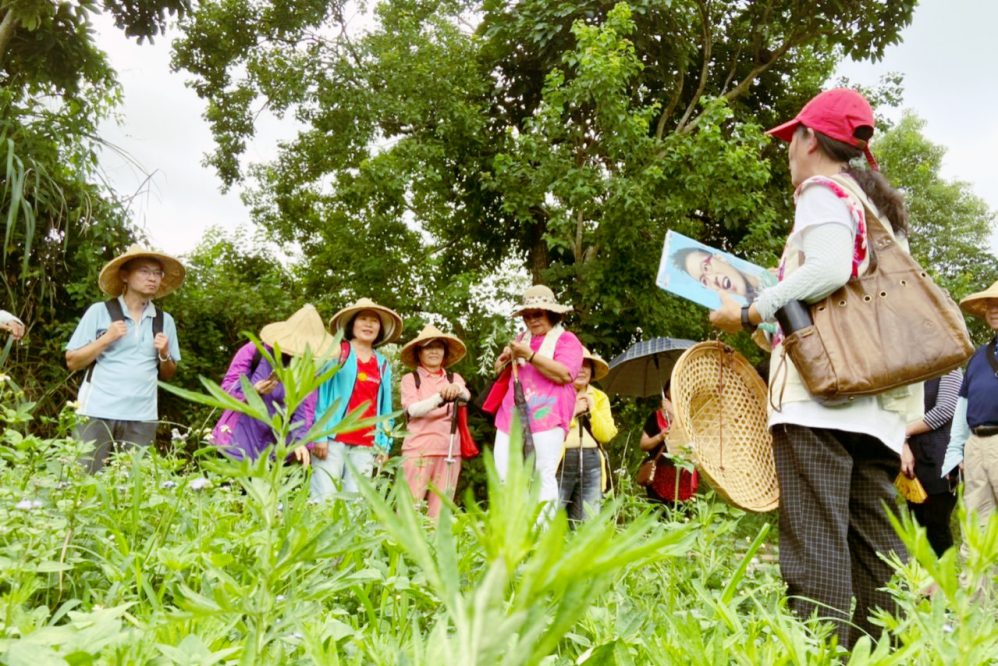 深度體驗自然結合人文之旅　桃竹苗分署艾草DIY活動邀您共度端午趣