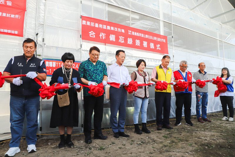 從高山遷至中海拔，阿里山山葵復育轉型帶動產業升級