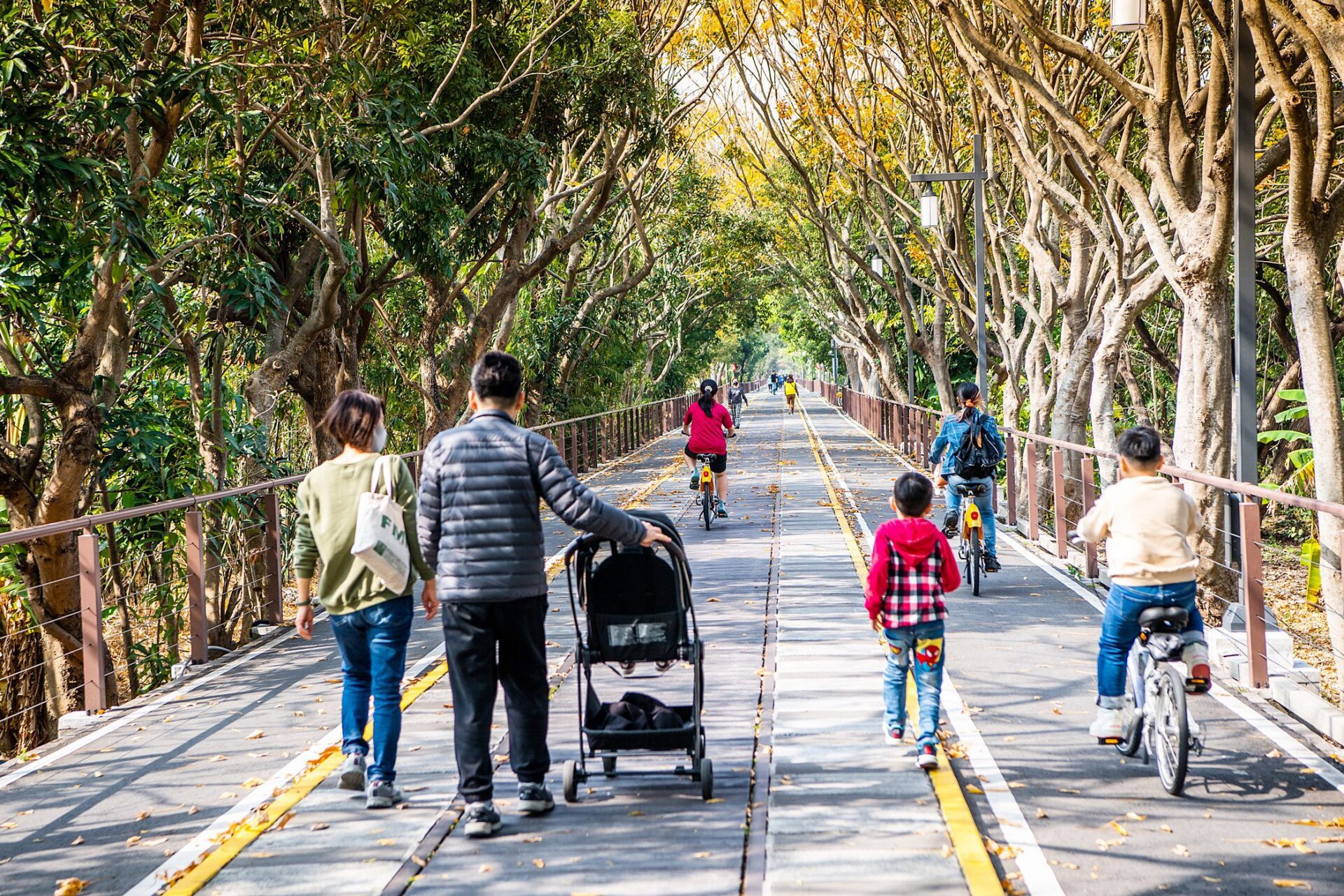 夜間騎遊更浪漫!嘉油鐵馬道光廊建設啟動 預計10月底完工 夜間騎遊更浪漫!嘉油鐵馬道光廊建設啟動 預計10月底完工