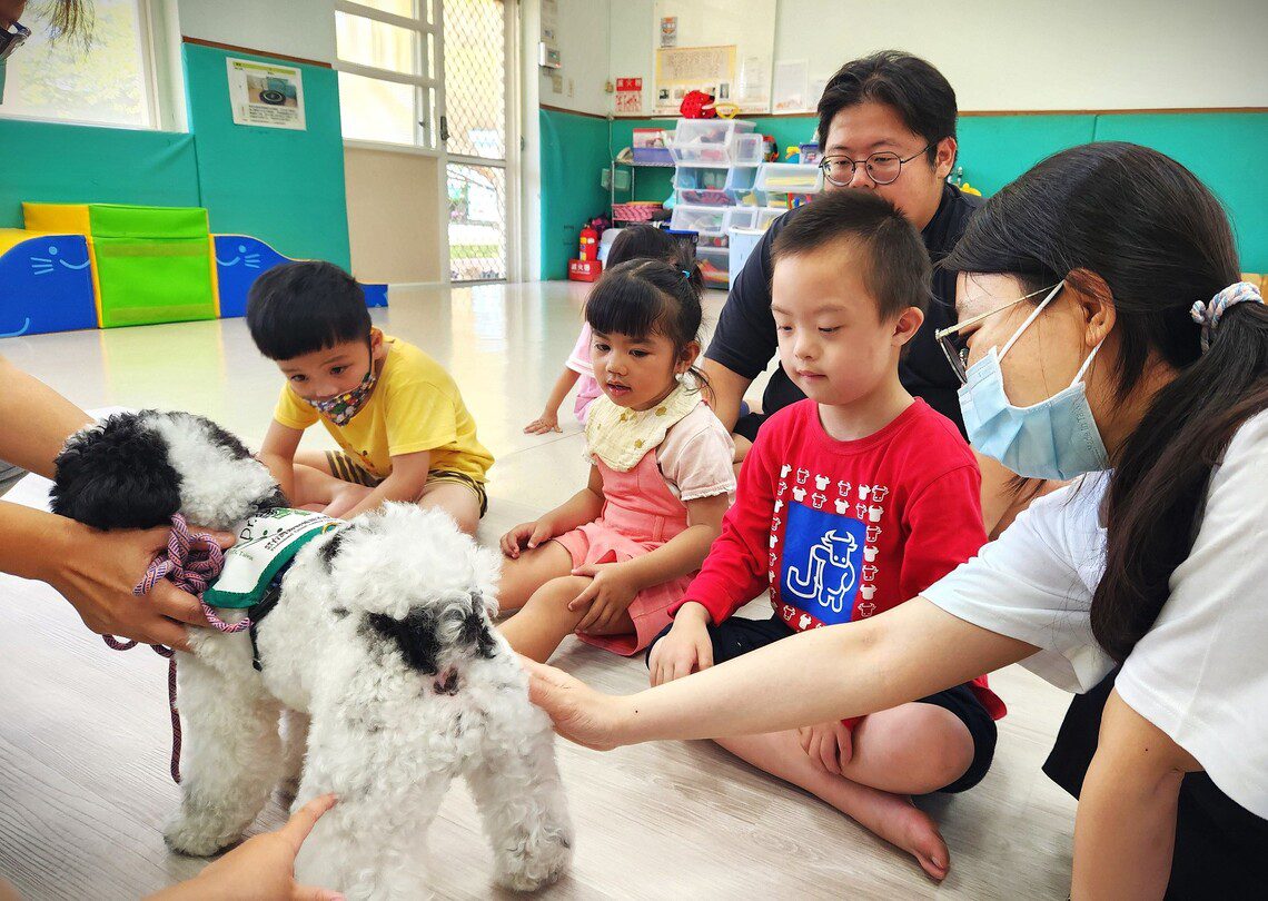 漾新聞|毛老師好朋友?療癒慢飛天使 漾新聞|毛老師好朋友?療癒慢飛天使