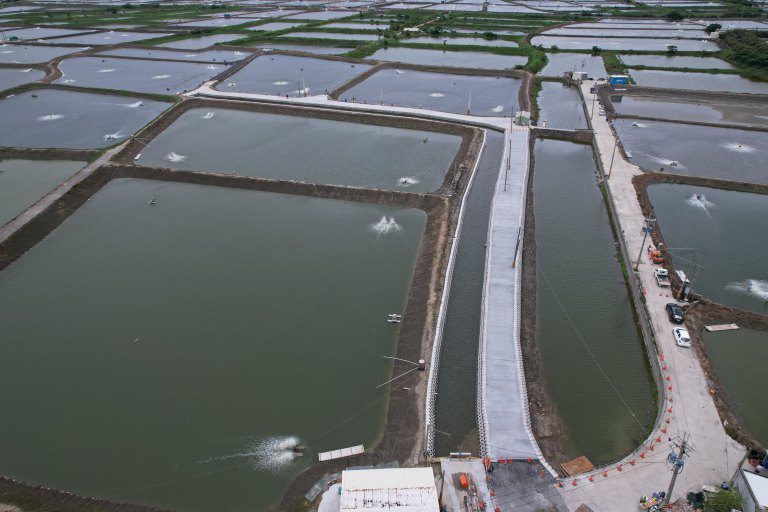 優良農業建設改善 興達養殖漁業生產區環境係金ㄟ 優良農業建設改善 興達養殖漁業生產區環境係金ㄟ