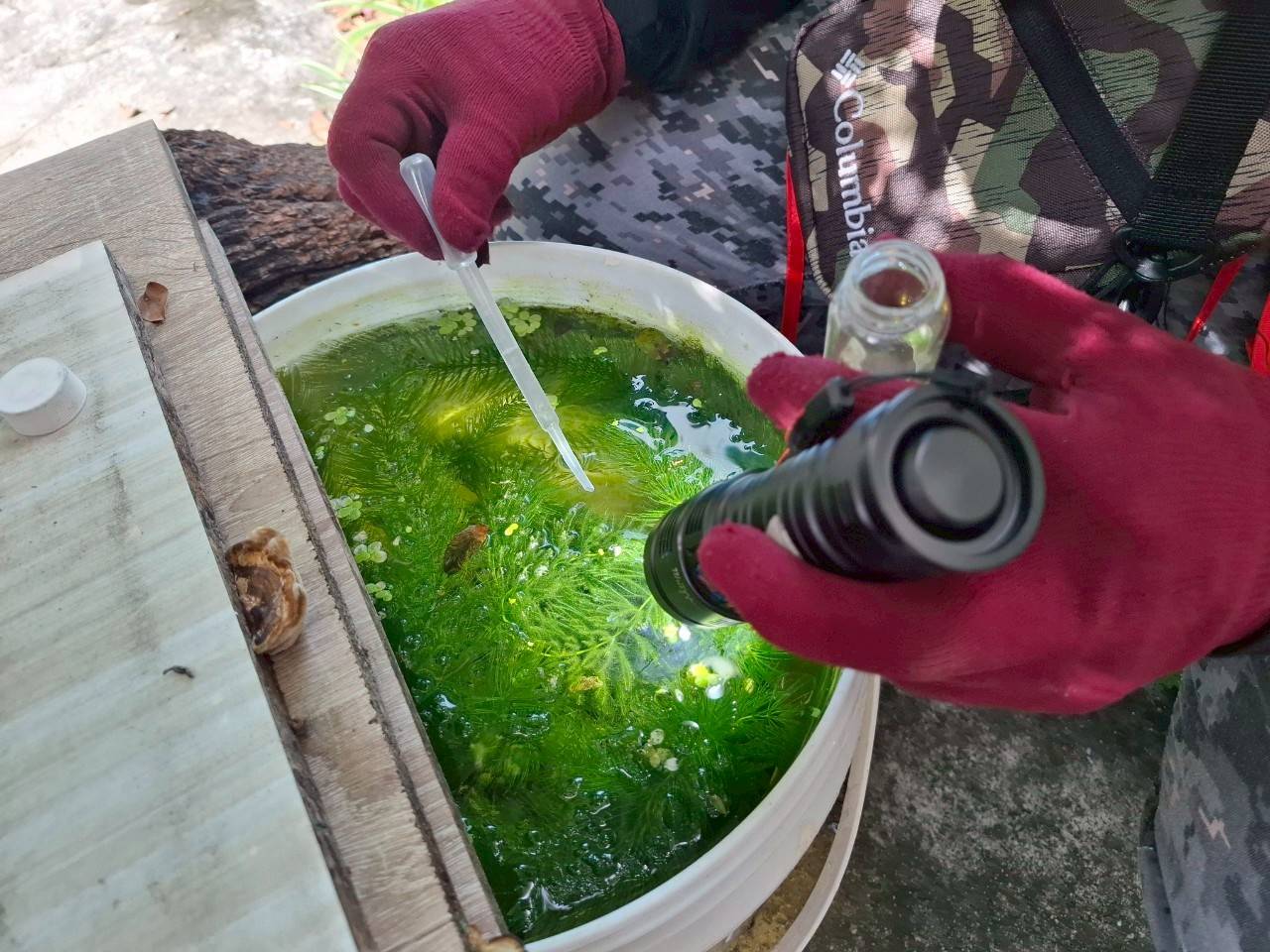 南市新增第3例境外移入登革熱確診病例 黃偉哲籲做好防蚊措施! 南市新增第3例境外移入登革熱確診病例 黃偉哲籲做好防蚊措施!