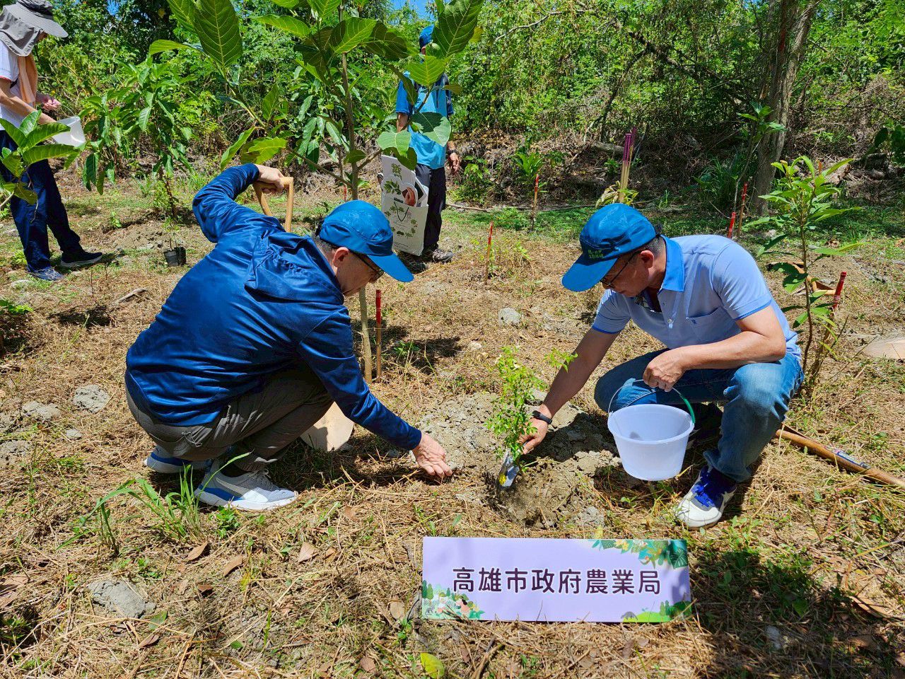 高雄農業局攜手四大單位 啟動半屏山生態復育計畫 高雄農業局攜手四大單位 啟動半屏山生態復育計畫
