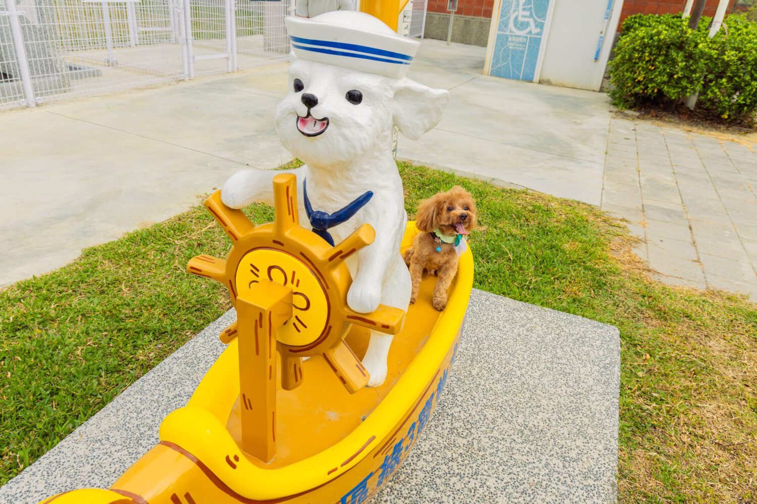 毛孩最愛的快樂碼頭 高市公園處梓官蚵仔寮打造寵物友善新亮點 毛孩最愛的快樂碼頭 高市公園處梓官蚵仔寮打造寵物友善新亮點