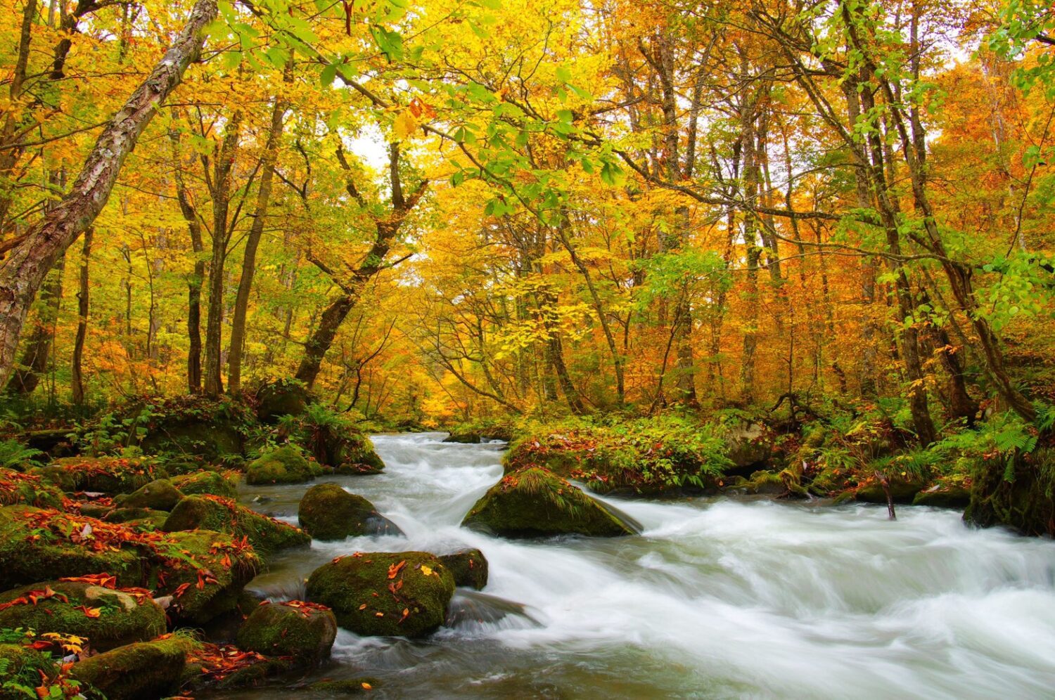 上半年最狂旅遊優惠來了! 長汎假期出國最高省一萬!國內外旅遊限時促銷,全台門市同歡慶優惠大放送 上半年最狂旅遊優惠來了! 長汎假期出國最高省一萬!國內外旅遊限時促銷,全台門市同歡慶優惠大放送