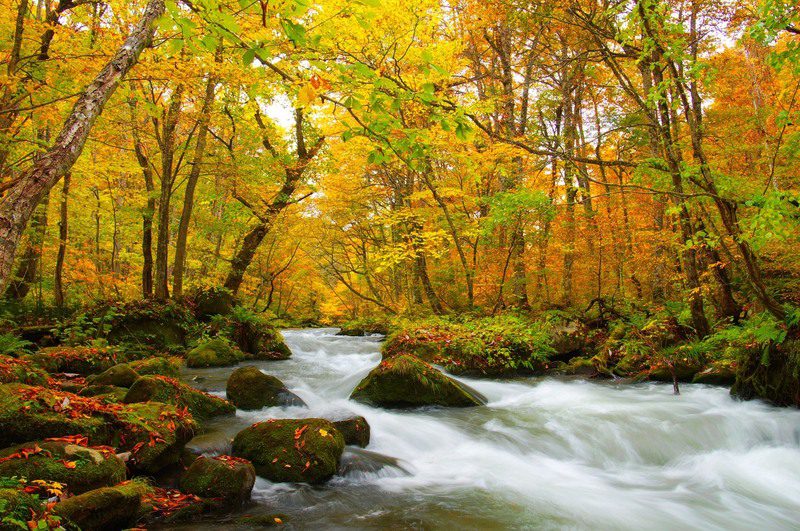 上半年最狂旅遊優惠 長汎假期出國最高省一萬!國內外旅遊限時促銷,全台門市同歡慶優惠大放送 上半年最狂旅遊優惠 長汎假期出國最高省一萬!國內外旅遊限時促銷,全台門市同歡慶優惠大放送