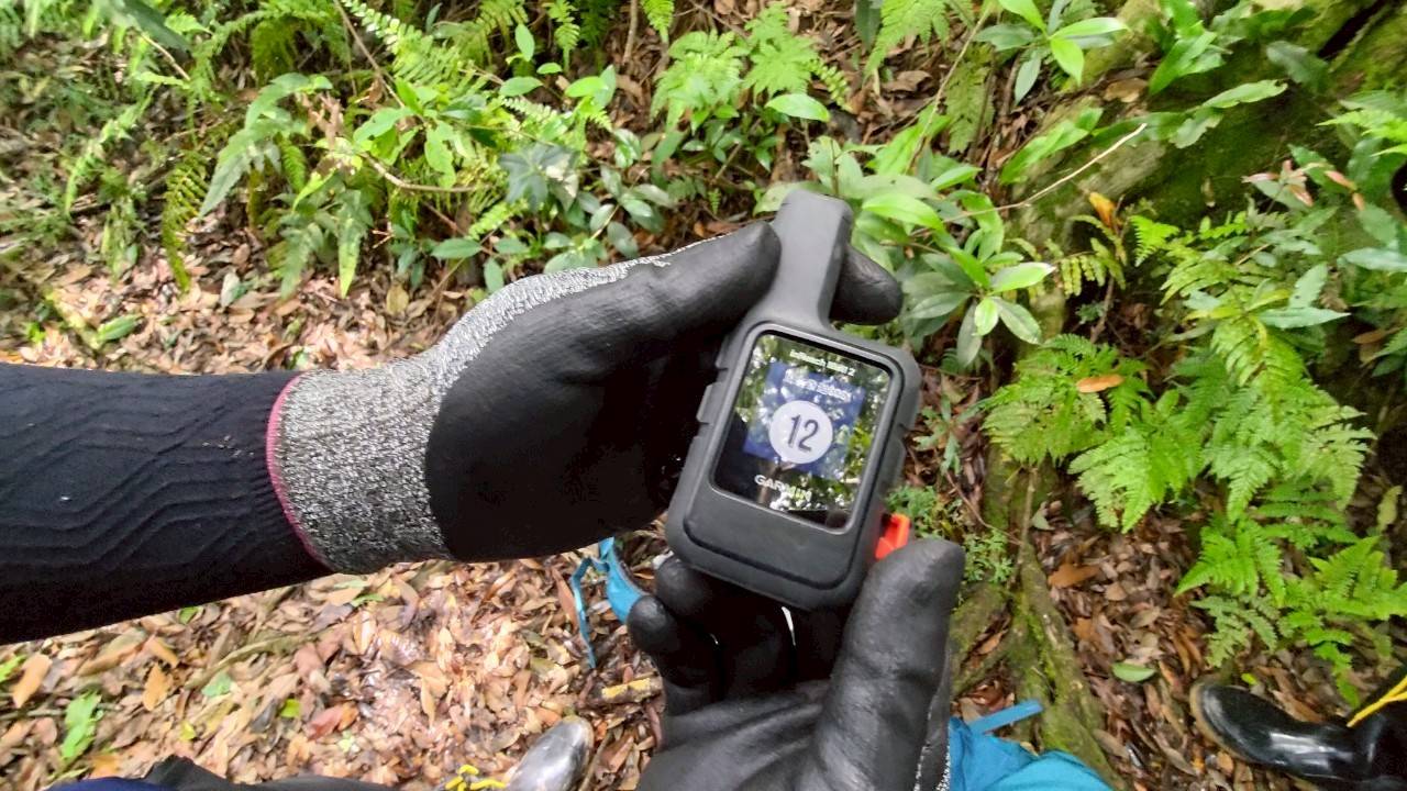 山很美也危險!桃園消防北插天山實戰訓練 30名精銳挑戰救援極限 山很美也危險!桃園消防北插天山實戰訓練 30名精銳挑戰救援極限