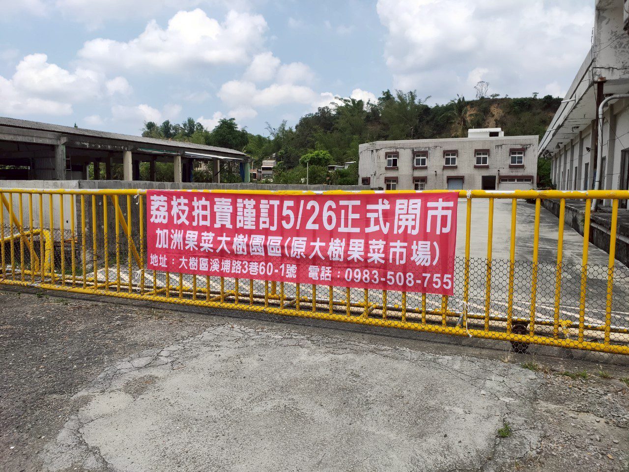 高雄大樹果菜市場5/26玉荷包拍賣起跑