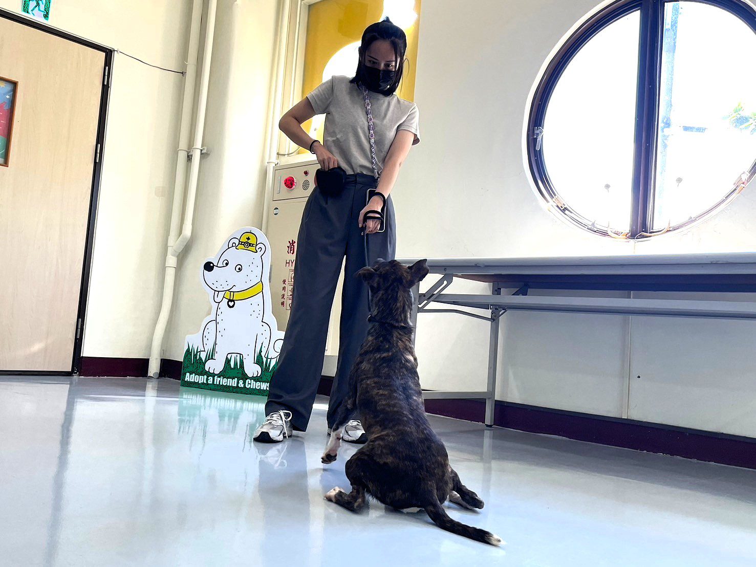 毛小孩暑假期間不無聊 ! 高市動保處開辦訓犬課程馬拉松 毛小孩暑假期間不無聊 ! 高市動保處開辦訓犬課程馬拉松