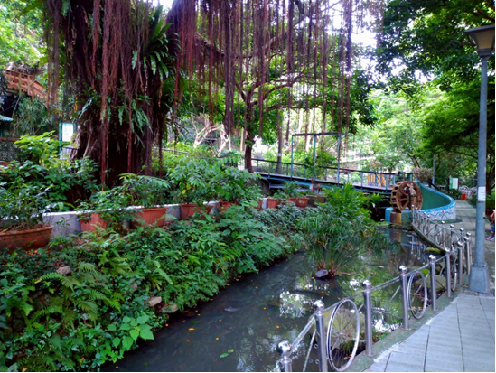 台北市神大排 網紅打卡消暑秘境