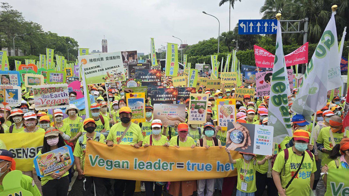 「純素國策行動」登凱道遊行　兩千人靜坐倡議純素飲食　盼政府正視推動純素政策