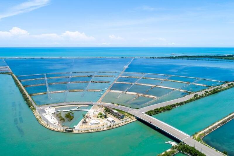 2025端午連假攏粽來臺南 龍舟美食賞花趣 一次滿足