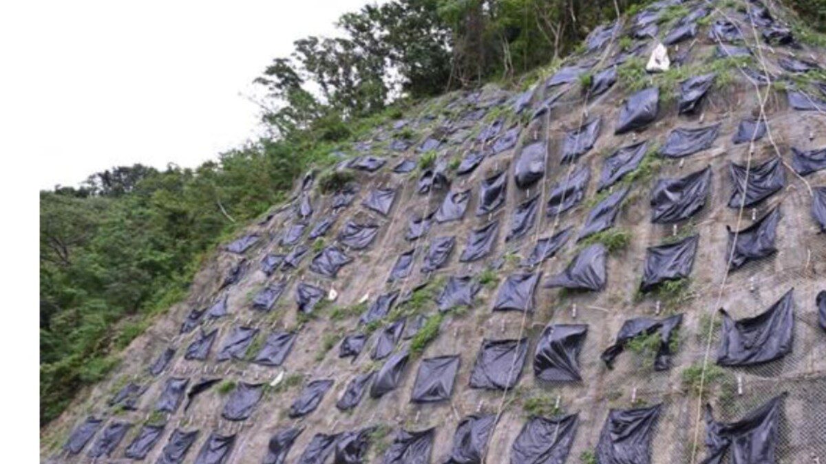 花蓮縣壽豐鄉及鳳林鎮的193縣道部分路段預計明年四月底完工 花蓮縣壽豐鄉及鳳林鎮的193縣道部分路段預計明年四月底完工