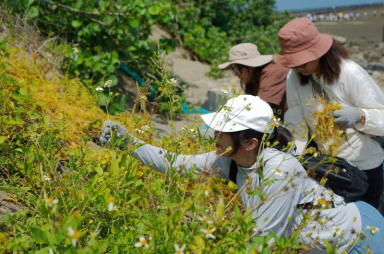 產官合作竹科企業ESG 　攜手清除香山濕地外來種菟絲子
