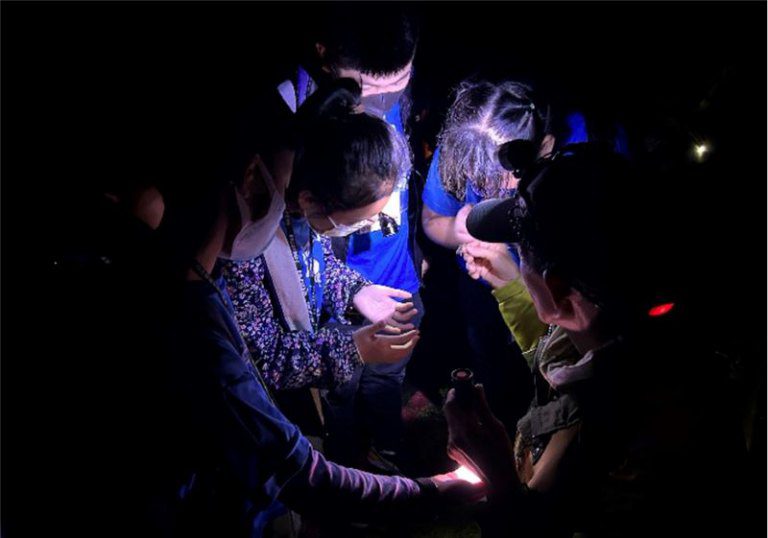 暑假前親子共遊好去處! 東眼山森林兩大特色活動等你來探索! 暑假前親子共遊好去處! 東眼山森林兩大特色活動等你來探索!