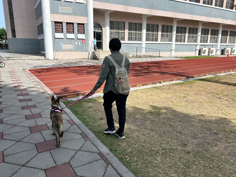 遛狗不繫繩最高開罰1萬5 屏縣動保條例今起上路 遛狗不繫繩最高開罰1萬5 屏縣動保條例今起上路