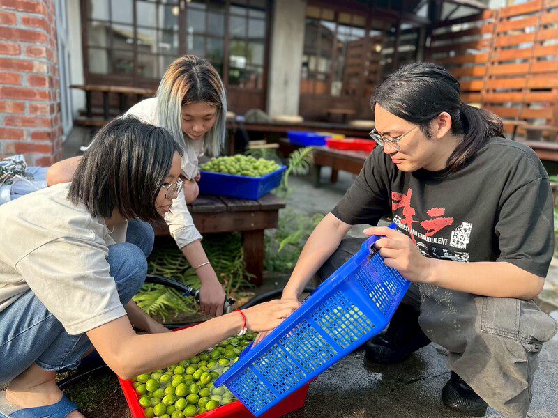 樹科大設創所攜手文創團體 走入左營眷村實地學習 樹科大設創所攜手文創團體 走入左營眷村實地學習