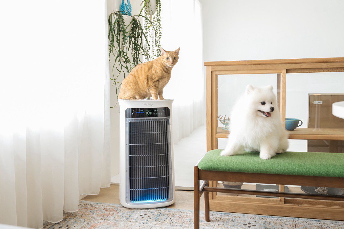 美國熱賣潮席捲台灣!吸毛大師 SoleusAir 首登台北寵物展 99.9% 除毛力征服亞洲毛爸媽 美國熱賣潮席捲台灣!吸毛大師 SoleusAir 首登台北寵物展 99.9% 除毛力征服亞洲毛爸媽