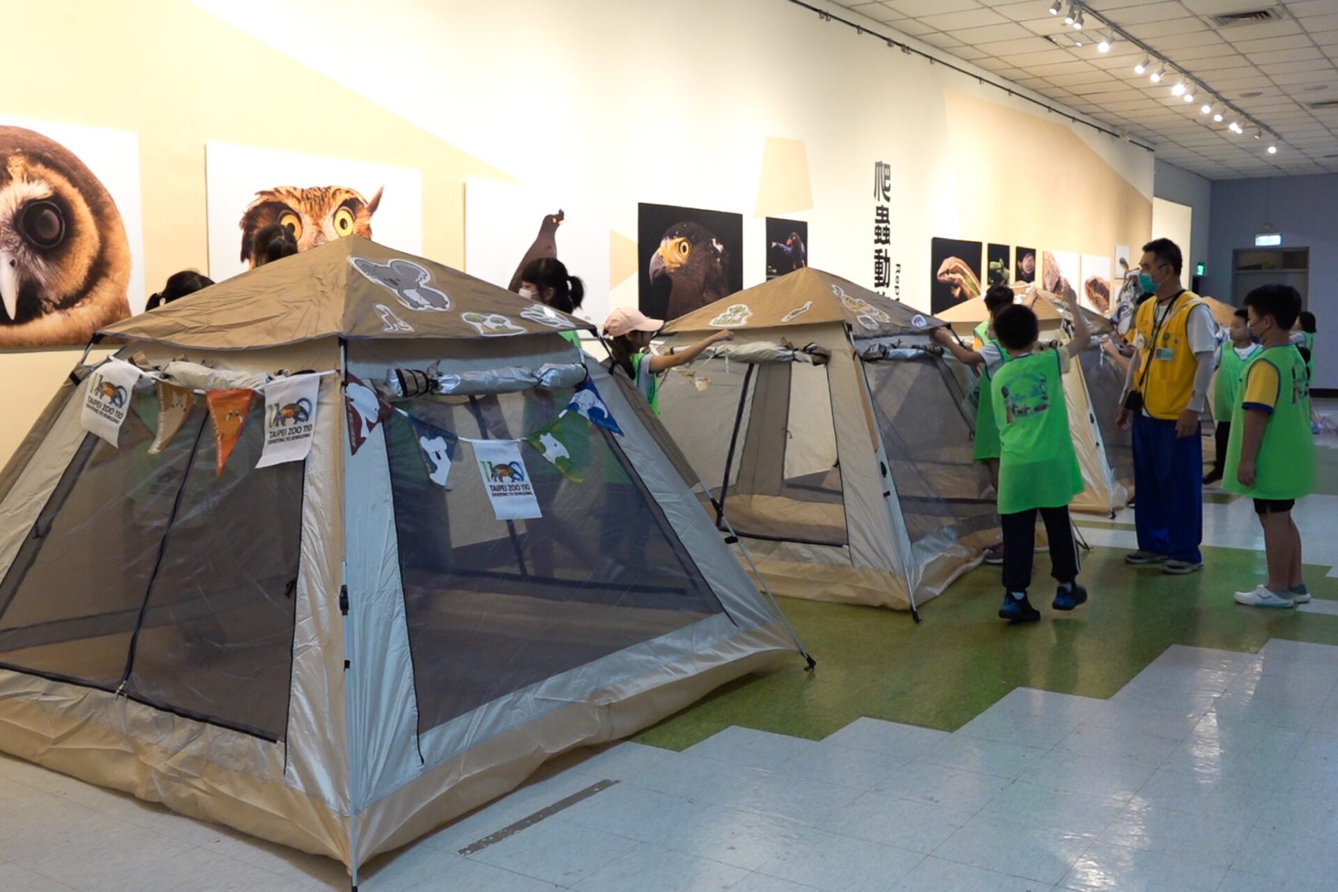 動物園暑期營隊5/31報名開跑 夜宿體驗留下難忘回憶 動物園暑期營隊5/31報名開跑 夜宿體驗留下難忘回憶