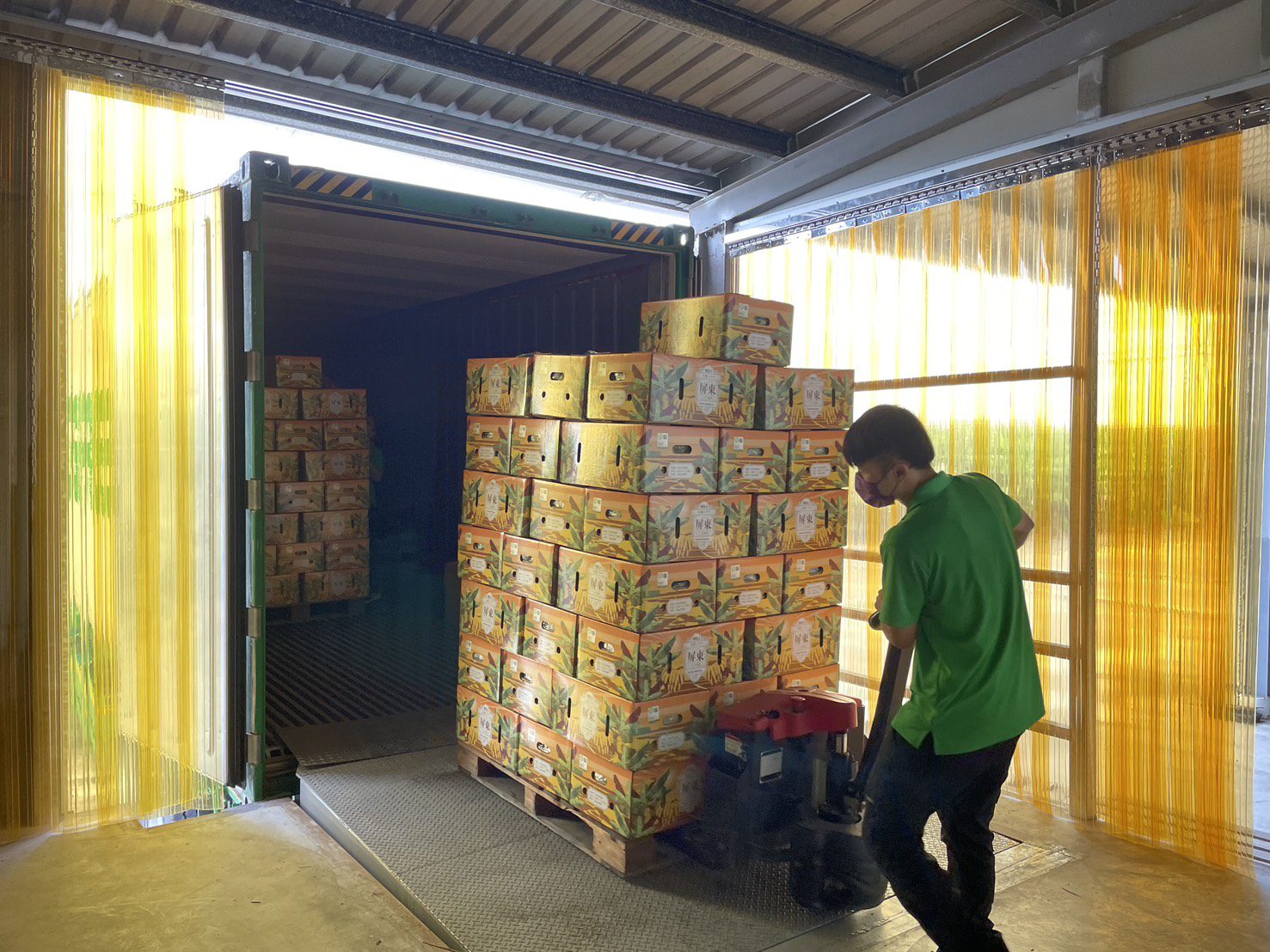 屏東香蕉出口日本東京都高齡照護機構 深化台日友好情誼 屏東香蕉出口日本東京都高齡照護機構 深化台日友好情誼