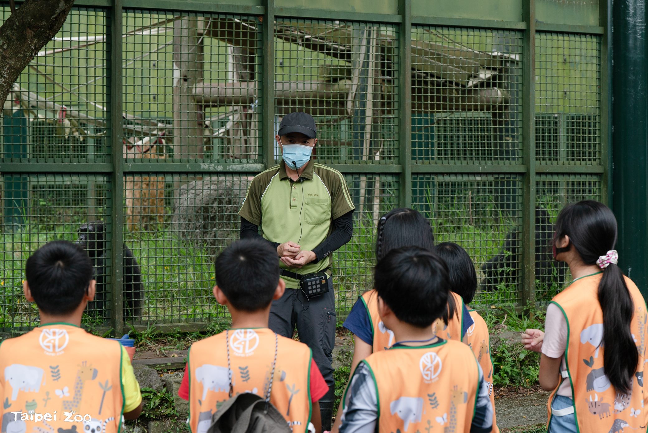 最萌暑假課堂！臺北動物園營隊限額490名等你來探險