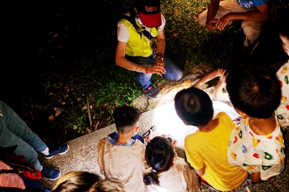 融合美學與永續　「8101B藝術行旅」郵輪式公車路線低碳深度旅行趣