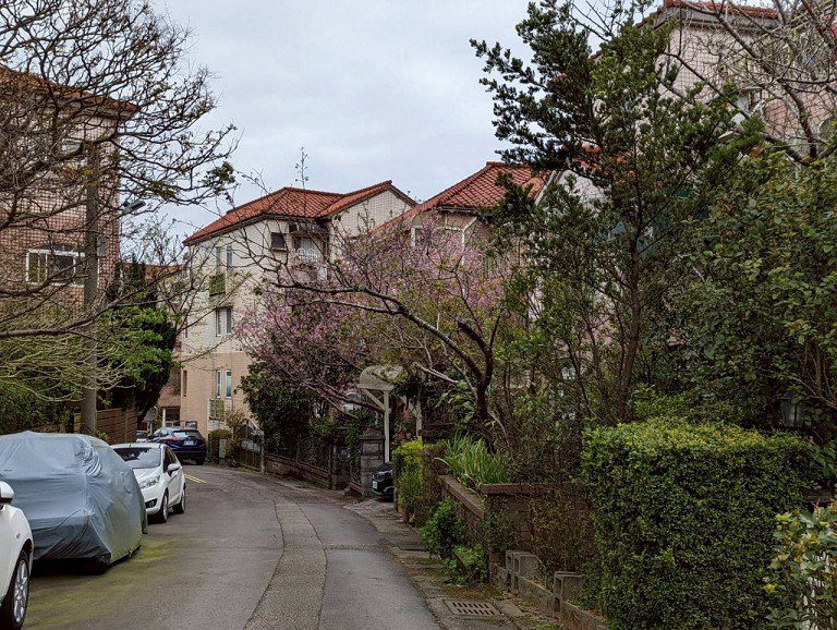 一里一特色社區　精緻社區帶動服務升級